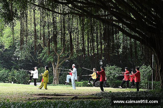 了解亿万先生MR